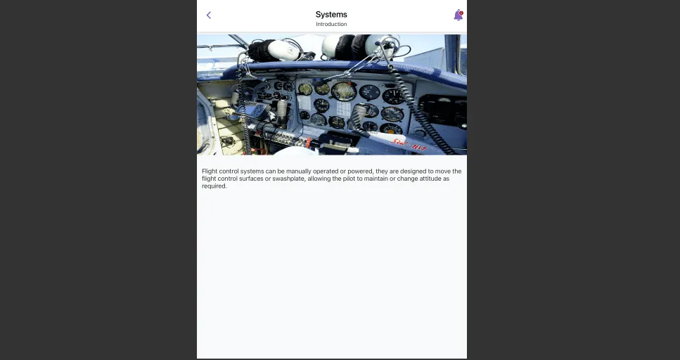 Flutter iPad app home screen