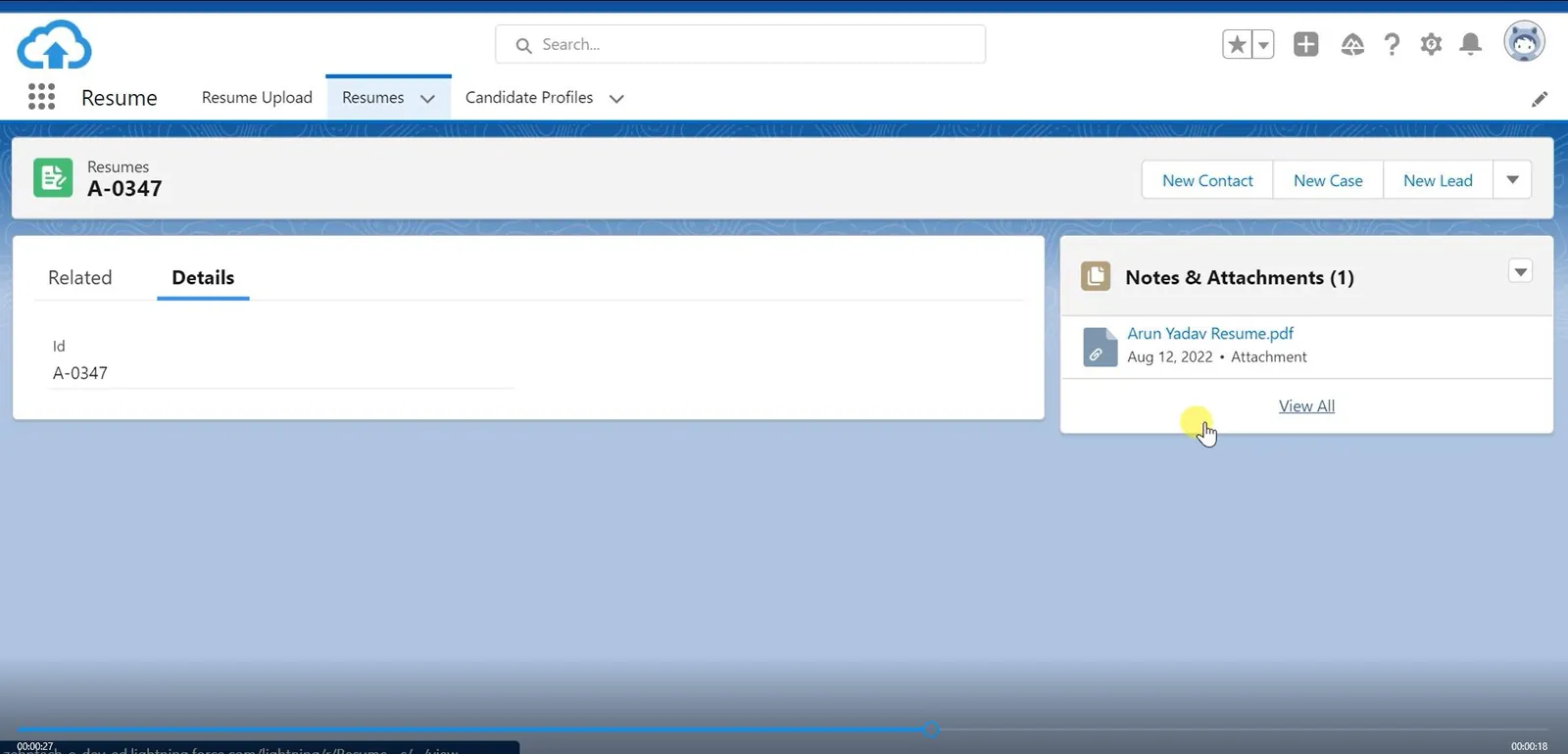 Project screenshot 2