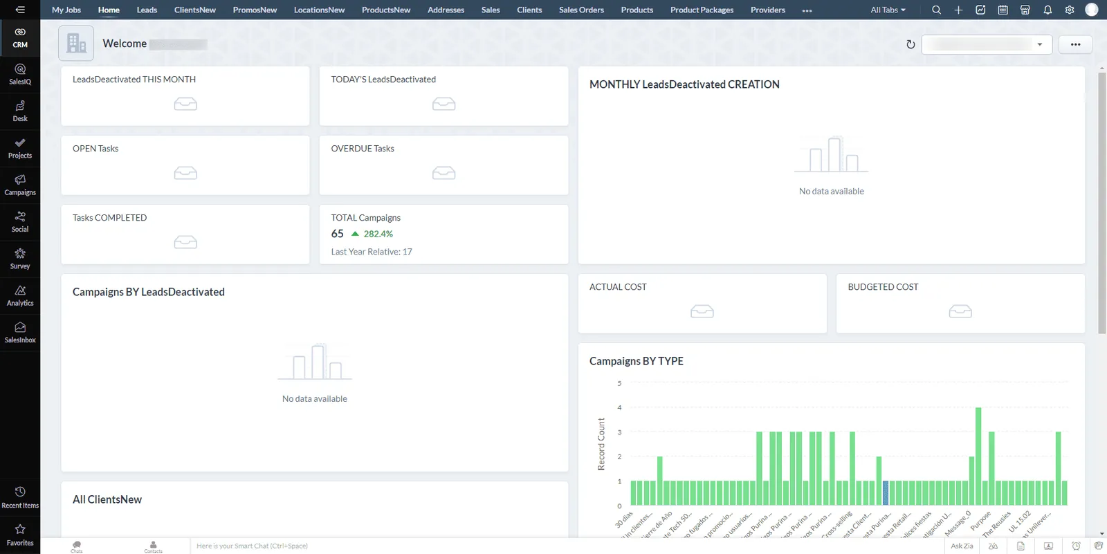 ZOHO CRM implementation screenshot 1
